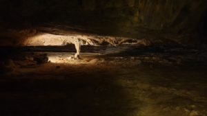 Grotte de Gargas